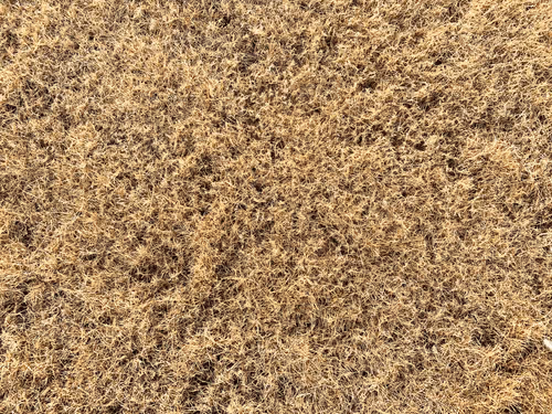 Item #29220917206107681272078931744148542283318655636732824827816198316926590517251 Media