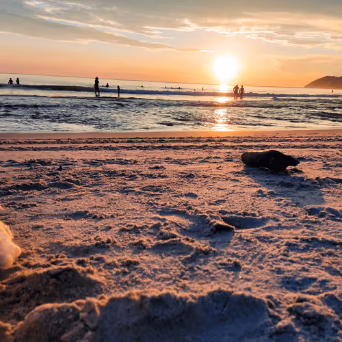 Item #76789129689388299706655966014022744743344792406865654046008114610369307082755 Media