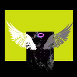 wings #27