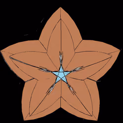 Happiness Stars#15