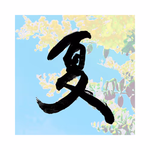 Item #69963289625873780075159906247721227463381325575472447281375270686864164519937 Media