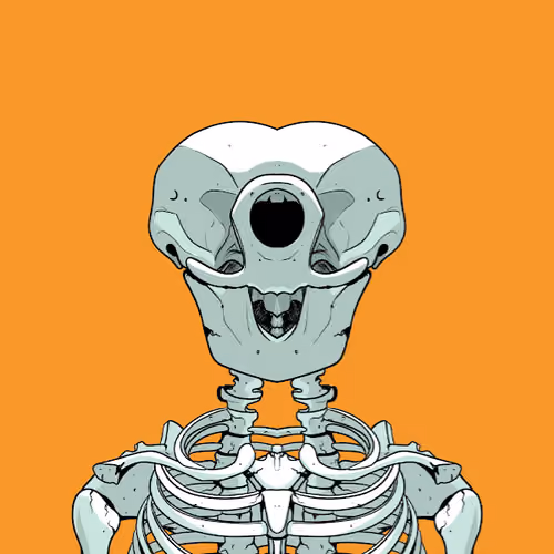 One-Eyed Skull Yacht Clup