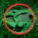 10267617554328533865214468109712443105245403548385517087682239721741419020289