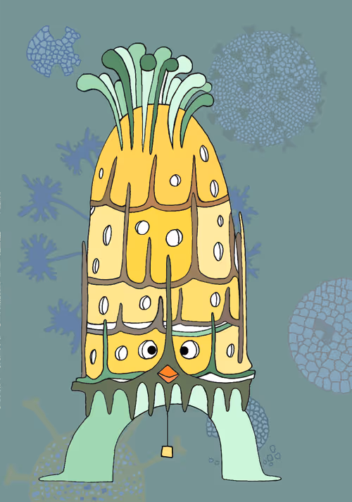 Item #32694570650441119048600676450844198975703969265396323880014712681654384590948 Media