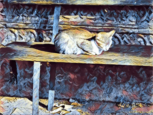 Item #46397680814911453718365897270123246439130732684861044295736255983556644306945 Media