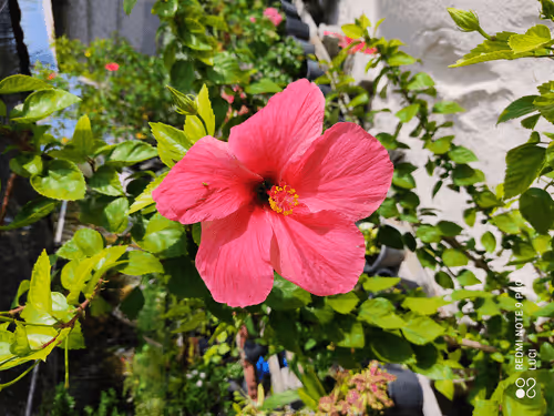 Item #3902770654397451055679675959158642588434254575108707249038517998311824162826 Media