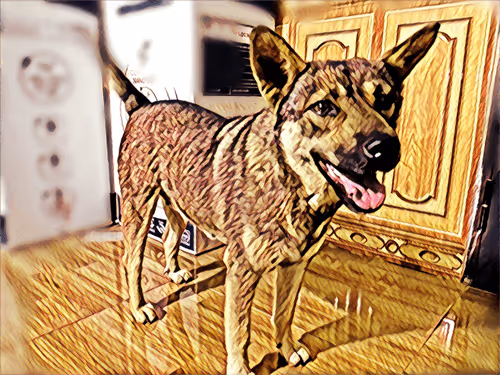 Item #74122138759525378795667626270866148487737655975912799548892275897705892413441 Media