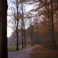 path