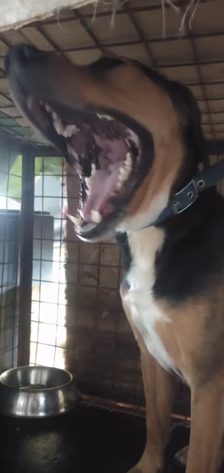 Item #23439807421783349604606688817165201350165750151979961366033252220506153680897 Media