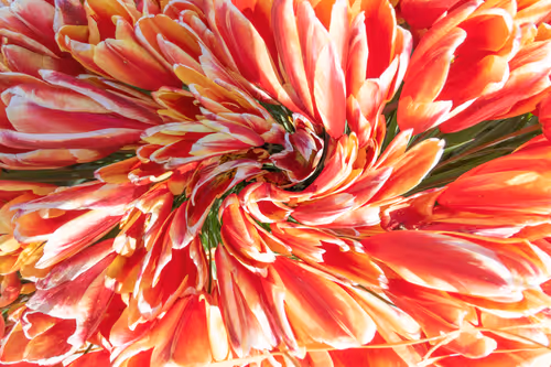 Item #50758675812449473764439231456584036832172415352604500480107087166016755597322 Media