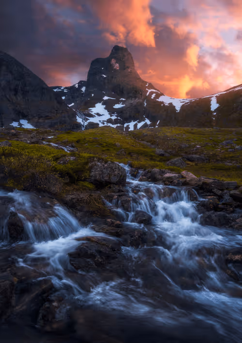 Item #96581077355438815098839991825512832741865857060493476294166675725970504155137 Media