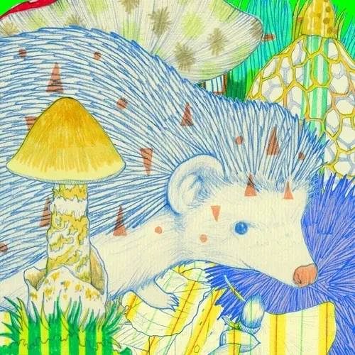 75504568957216009271532412225991883014141589967078103544589205178054864797697