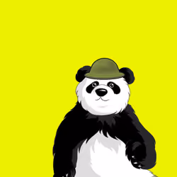 Panda #4