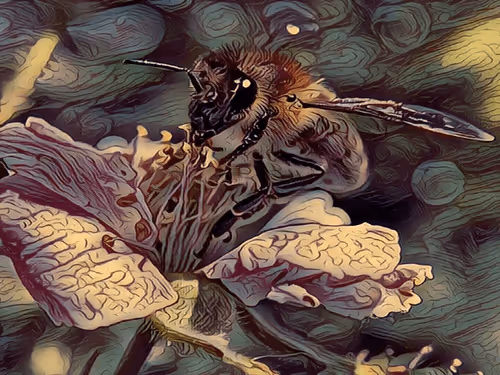 Item #101599579626109009666607068920778550362968334718480795982881728459470897414145 Media