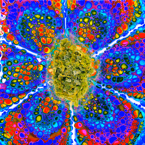 Item #13955282856406335165414100891374623718709547313428947888299034036321160003585 Media