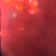 22379308869482956180716580208691734508844198724336024540551692029047362027521