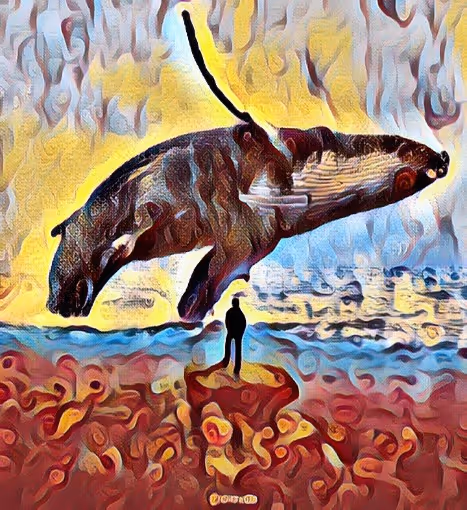 Item #13508095039876190545401276820051286684336130647733164687297862533711380086785 Media