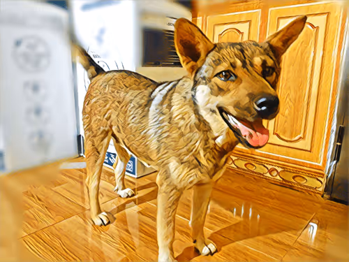 Item #74122138759525378795667626270866148487737655975912799548892275877914683113473 Media