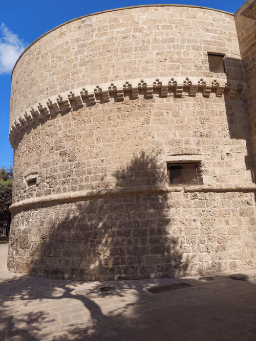 Item #43505702085321246701285015339688837487321998718285252344027785096270228488193 Media