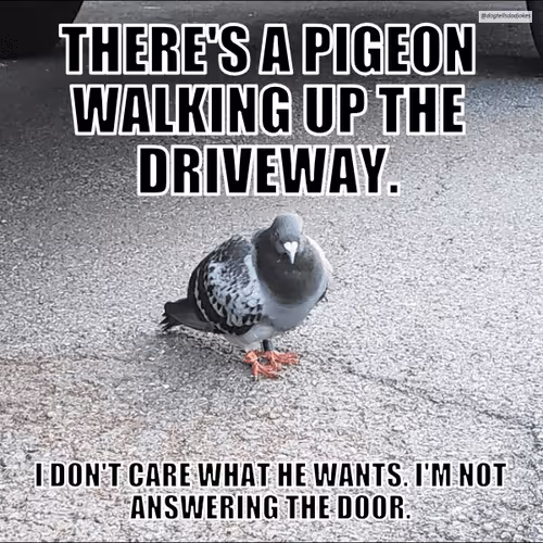 Item #50019202249894892371434277918318181364623497082798944916930855479256597659649 Media