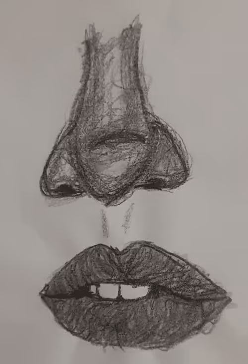 Item #66091558428935434572209505693593101913977947745303948276182693588023453418572 Media