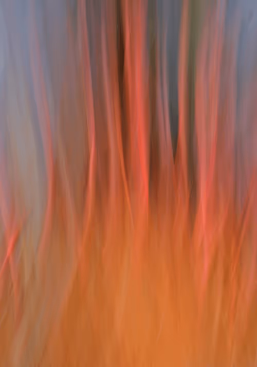 Item #23265726314410109476129301555838572111439838682222879854994044563085561167873 Media