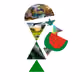 95507661532289916185825735293444872583977066303976638525923237681052470214657