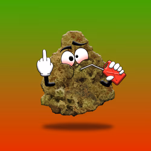 Item #25631271662017502587074199981628245224471613110620422509719690381970047500289 Media