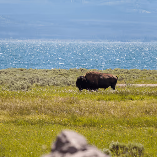 Item #108333172836631629328696584714053398631603269563571358519615745499932661907457 Media