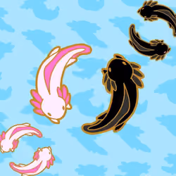 Axolotl #011
