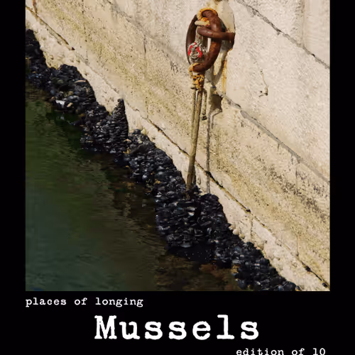 Item #54092708251689304060008626725907944876680074354438048784149165914527199395850 Media