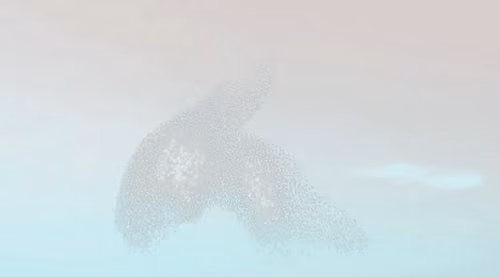 Item #64956806694377478880861730348411378356614519867972810860631996415204835459073 Media