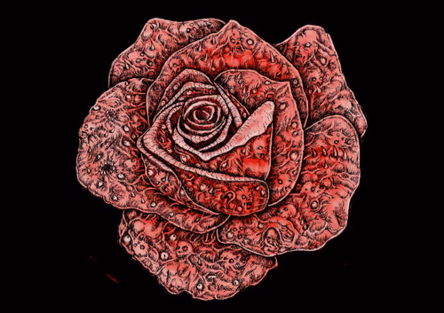 Item #56517327623533060018778309889321403956894590173429984081282614103431790460929 Media