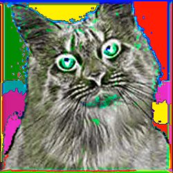 88960586343788958426741174802939624374750119757838653668849978281849050365961