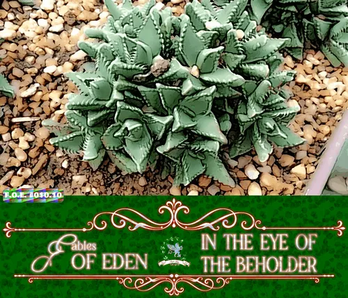 Item #111848979152032696048250741203495729991903103051508547843647447434315679399937 Media