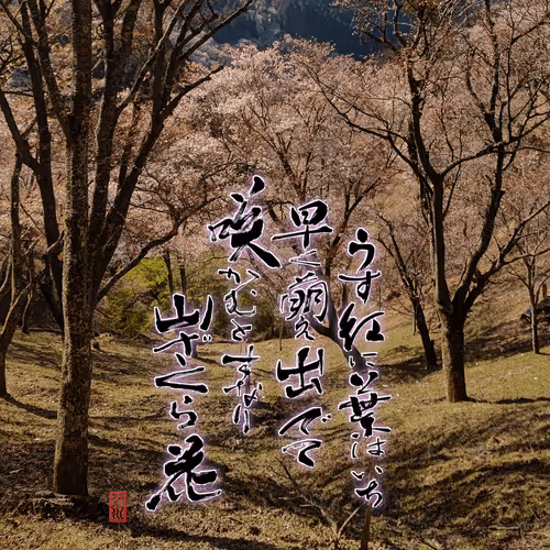 Item #102967229630208760737688806604411354727385978550035448281008295693837177716737 Media