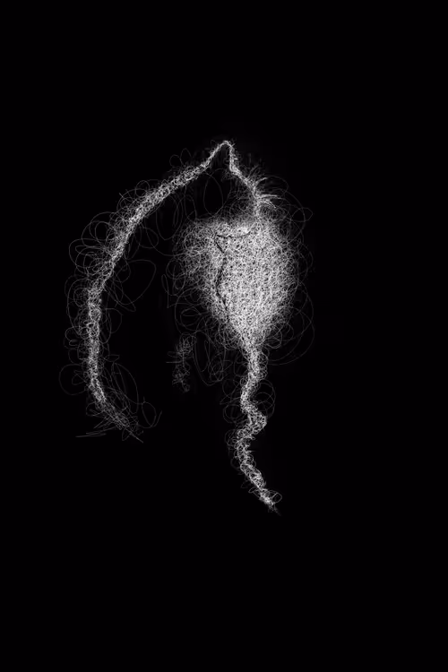 Item #20286817641922993541065929101952433978531825078991625494647867558013496721409 Media