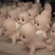 27405515213586499811304558716143670304538649791404287123610716083944912060421