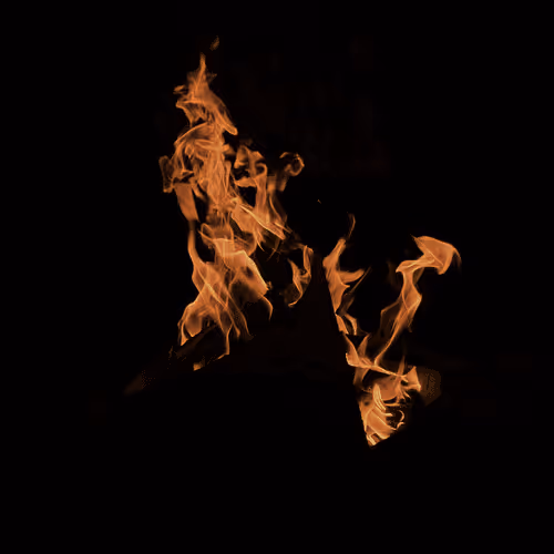 Pheonix rising from the flames
