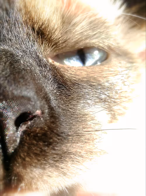 Item #53581876738018030526296833198765097323208142745183468553001527196214781542500 Media