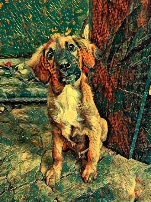 Item #109885862523976899144651734441556854765315219074328426947809034499796464828417 Media