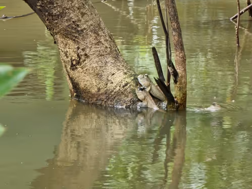 Untitled Collection #192009878