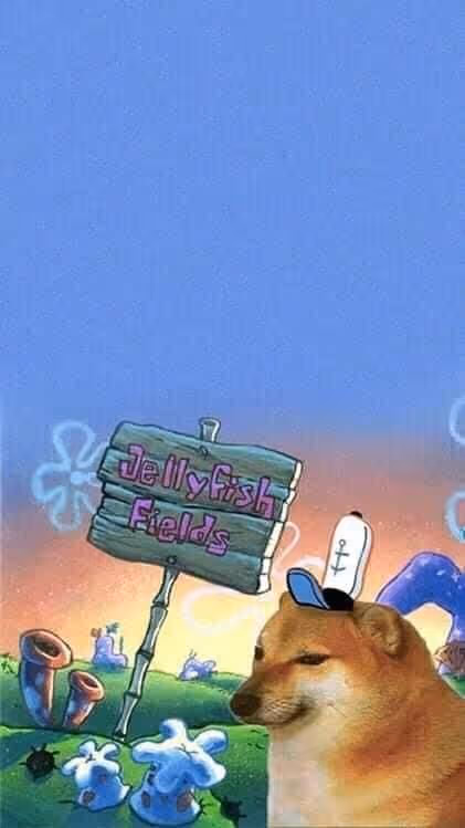 Item #95820240251845051783128031234870253454074385828708302127634343177178893516801 Media