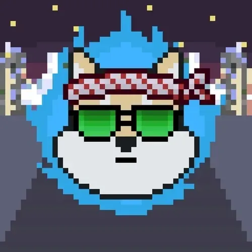 Rocketshiba