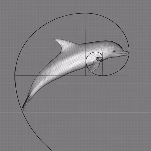 Untitled Collection #118280920