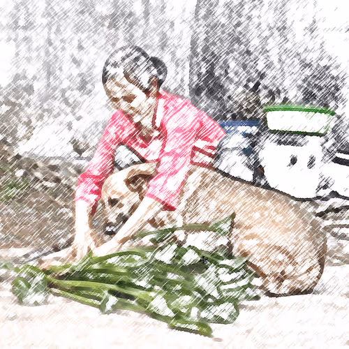 Item #60872619837691221380598772379199687770025926314057253898285761346318804975716 Media