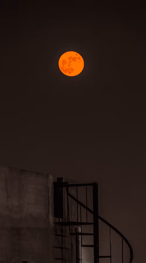 Item #51720214752826038599270338085891046256638652771262397643462889358787262545921 Media