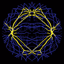 7078802064077755305879053961196844759257248211509687953083586387177134620673