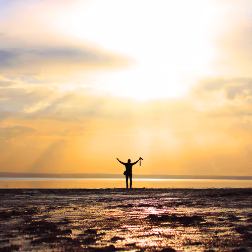 Item #85223993050076982606488361142318106112065178621843524715377493162382489288804 Media