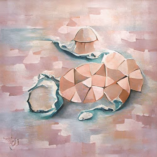 95949048702184002022994543019454797960309252011183799747181743227176763785217